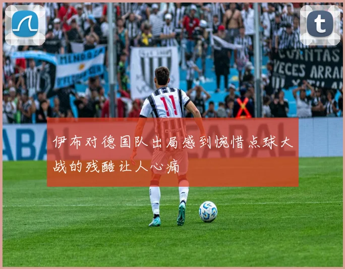 伊布对德国队出局感到惋惜点球大战的残酷让人心痛