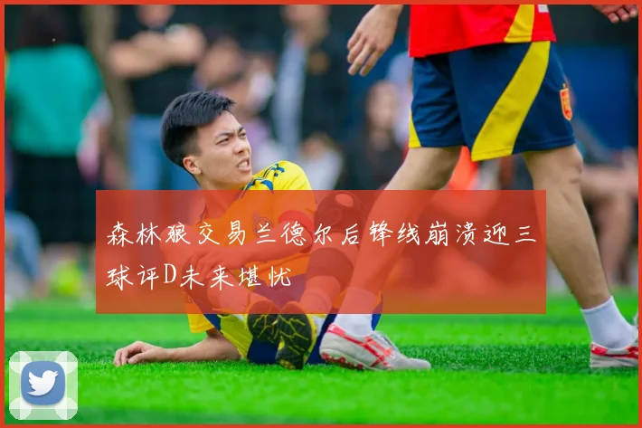 森林狼交易兰德尔后锋线崩溃迎三球评D未来堪忧