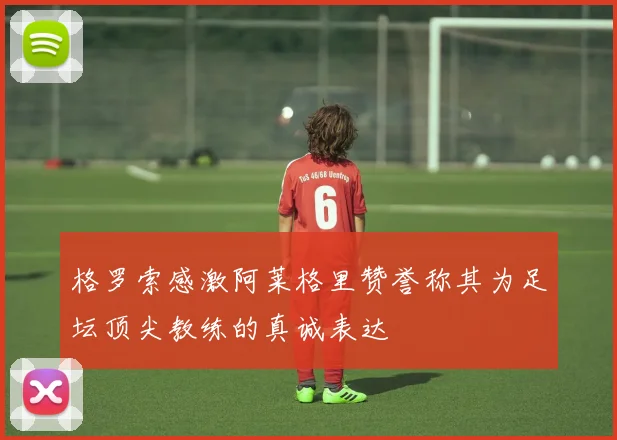 格罗索感激阿莱格里赞誉称其为足坛顶尖教练的真诚表达