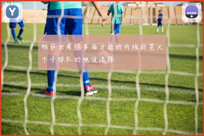 维萨尔展现多面才能的内线新星大个子球队的绝佳选择